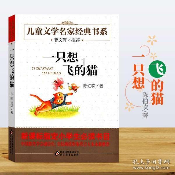 角单念什么游戏画面